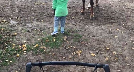 …ein kleiner Sonntagsspaziergang ☺️ …ein kleiner Sonntagsspaziergang ☺️